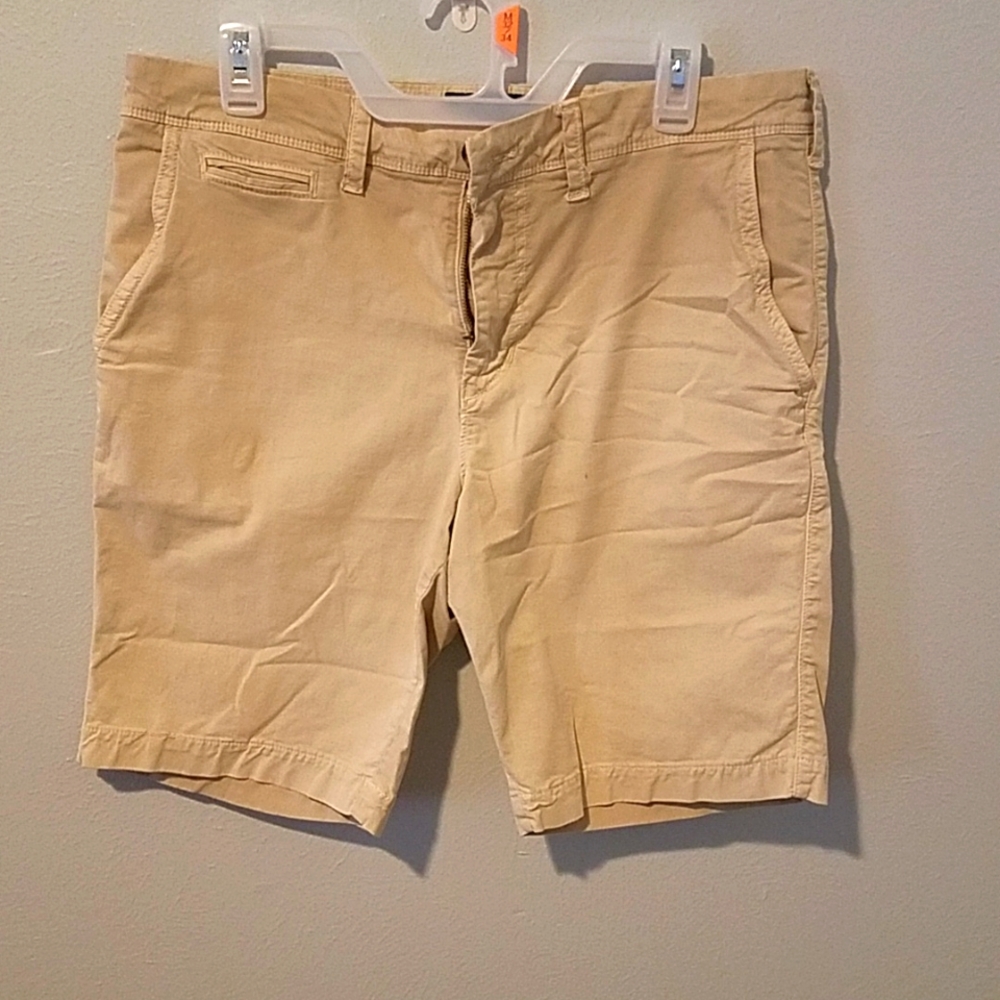 American eagle mens shorts